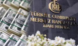 TCMB: Özel Sektörün Yurt Dışı Kredi Borcu Kasımda Arttı