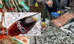 Balık karaciğer dostu: 13 bin ton satıldı, vatandaşlar kuyruğa girdi ama balığın yanında kola içenler yandı!