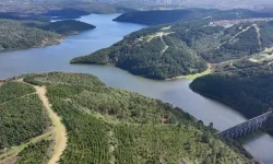 Sular çekildi: İstanbul'un barajlarında alarm