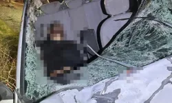 Diyarbakır'da otomobillerin ata çarptığı kazada 1 kişi öldü