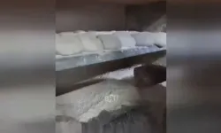 Fırında mide bulandıran manzara: Unda sigara külü! İnsanları böyle zehirliyorlar...