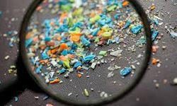 Bilim İnsanları: Mikroplastik Beyne Önemli Ölçüde Zarar Veriyor