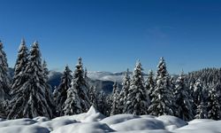 Ordu’nun 2 Bin Rakımlı Yaylasında Kar Güzelliği