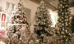 Hazır Süslü Ve Kompakt Yılbaşı Ağaçları İlgi Odağı Oldu