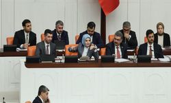 Genel Kurulda Bütçe Görüşmeleri Sırasında Leyla Zana Kınaması Yapıldı