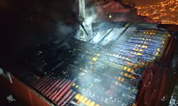 Yangında Mahsur Kalan Papağan İtfaiyenin Müdahalesiyle Kurtuldu