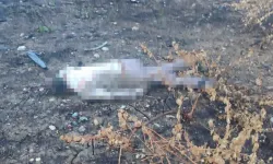 Mersin’de kaza: Sürücü 30 metreden aşağı düştü