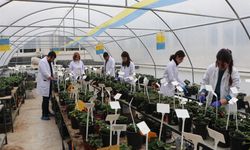 Olumsuz Hava Şartlarına Karşı Öğrenciler İçin Terasa Sera Kuruldu