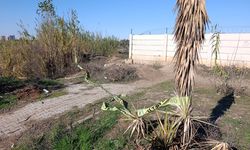 Adana’da Yol Kenarında Cansız Kadın Bedeni Bulundu