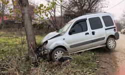 Ağaca Çarpan Hafif Ticari Araçta Anne ile Kızı Yaralı