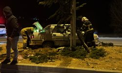 Ağaca Ve Direğe Çarpan Otomobil, Sürücüsünü Yaraladı
