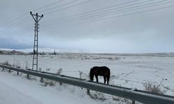 Ağrı’da Kar Yağışı Etkili Oldu