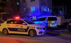 Annesine Şiddet Uygulayan Babasını Darbetti