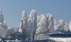 Ardahan’ın Göle İlçesinde Soğuk Hava Eksi 20’ye Ulaştı, Kırağı Oluştu