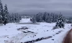 Arkut Dağı’nda Kar Yağışı Devam Ediyor: Kalınlığı 10 Santimetreye Ulaştı