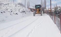Artvin’de Yoğun Kar 203 Köy Yolunu Kapattı