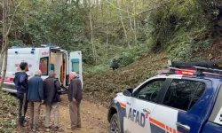 Kestiği Ağacın Çarpmasıyla Yaralanan Kişi Hastaneye Kaldırıldı