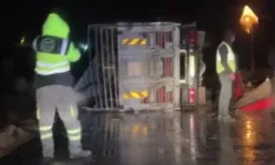 Ankara'da devrilen kamyonda çok sayıda hayvan telef oldu