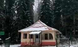 Bartın’da Yüksek Kesimlere Mevsimin İlk Karı Düştü