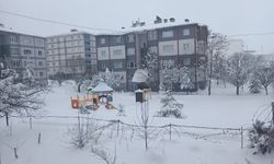 Bitlis’te Karla Kapalı 203 Köy Yolu Ulaşıma Açıldı