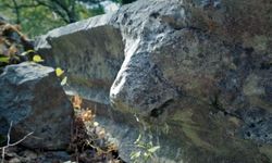 Büyük İskender’in Fethedemediği Antik Kentte 2 Bin Yıllık Aslan Başlı Çörten Zarar Gördü