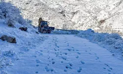 Batman’da 112 Köy Yolu Kar Ve Heyelan Sebebiyle Kapalı