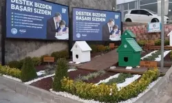 Kestel Belediyesi, Sokak Kedilerine ‘Kale Paty’ Projesiyle Destek Oluyor