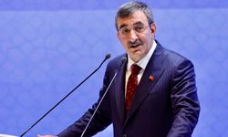 Cevdet Yılmaz: Ocak Ayında Enflasyon 20’li Rakamları Bulacak