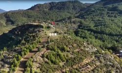 Dalaman'da Yanan Alanlar Yeniden Yeşererek Doğayla Buluştu