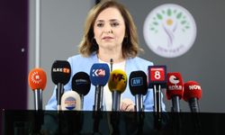 Doğan: Silah Bırakan Hiç Kimse Düzenleme Dışında Kalmamalı