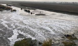 Dicle Nehri’nde Endişe Yaratan Manzara: Nehir'den Köpük Akıyor