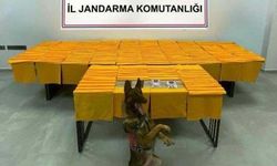 Denizli’de İki Ayrı Yasaklı Madde Operasyonunda 3 Kişi Tutuklandı