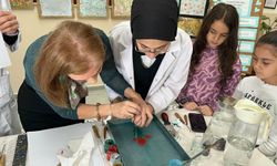 Fizik Öğreniminde Ebru Sanatıyla Yaratıcı Yöntem