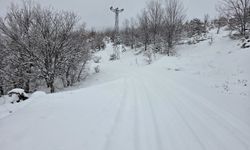 Elazığ'da Kar Nedeniyle 311 Köy Yolu Kapandı