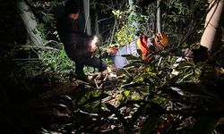 Engebeli Arazide, Yaralanan Orman İşçisini Ekipler Kurtardı