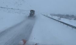 Erzincan’da Tırlara Geçiş Yasağı Uygulandı, Tendürek’te Araç Kuyrukları Oluştu