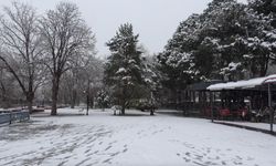 Erzincan’da Kar Yağışı Etkili Oldu