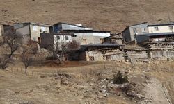 Erzurum’un 5 İlçesinde Yaban Keçisi Envanter Çalışması Başladı