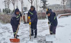 Erzurum Ve Erzincan’da Kar Etkili Oldu