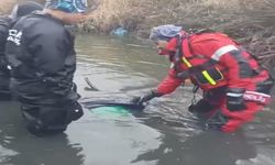 Eskişehir’de Aranan Öğretmenin Cansız Bedeni Bulundu