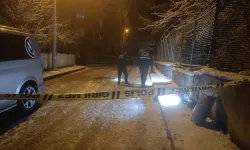 Erzurum’da silahlı saldırıya uğrayan şahıs hayatını kaybetti