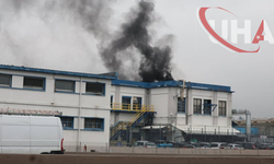 Fransa’daki Kimya Tesisinde Patlama: 4 Yaralı