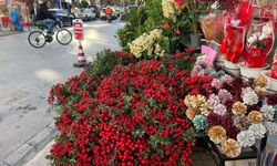 İzmir'de Yılbaşı Simgesi Kokina Talebi İki Kat Arttı