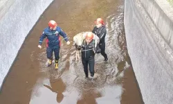 Su Kanalına Düşen Karacayı İtfaiye Kurtardı