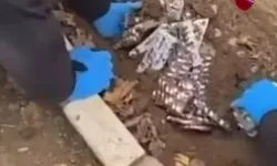 İzmir'de toprağa gömülü uyuşturucu bulundu
