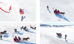 Çıldır Gölü'nde Atlı Kızakla Snowboard Heyecanı Yaşandı