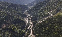 Karadeniz’de Yağış Azalıyor; Bölgedeki Ormanlar Yeniden Düzenleniyor