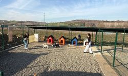 Kampüste Hayvanlar İçin Doğal Yaşam Alanı Kuruldu