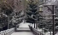 Ordu’da Yüksek Kesimler Karla Kaplandı