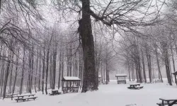 Kocaeli Kuzuyayla Tabiat Parkı’nda Kartpostallık Manzaralar